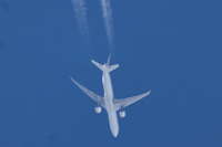 F-GSQA